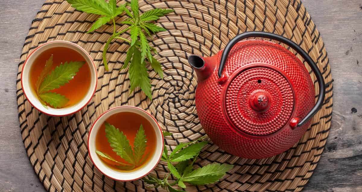 L'infusion au CBD : une bonne idée ?