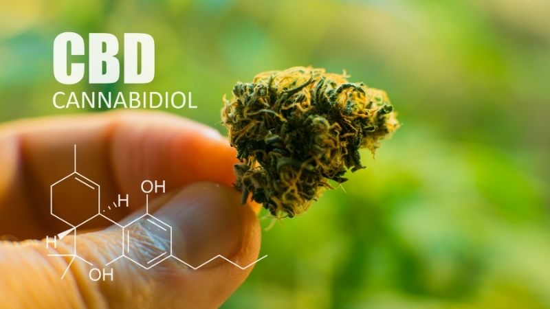 Quels sont les bienfaits meconnus du CBD ?
