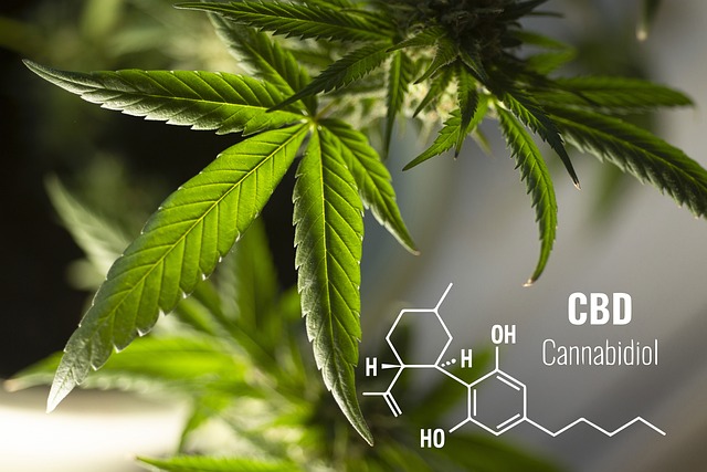 L'impact économique de la législation sur la CBD dans le monde