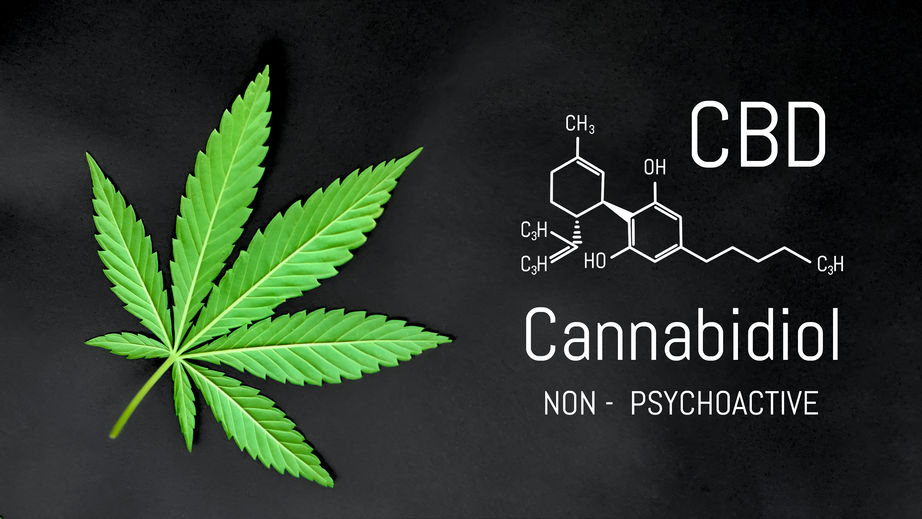 Quelles sont les différences entre l’huile de CBD et l’huile de HHC ?