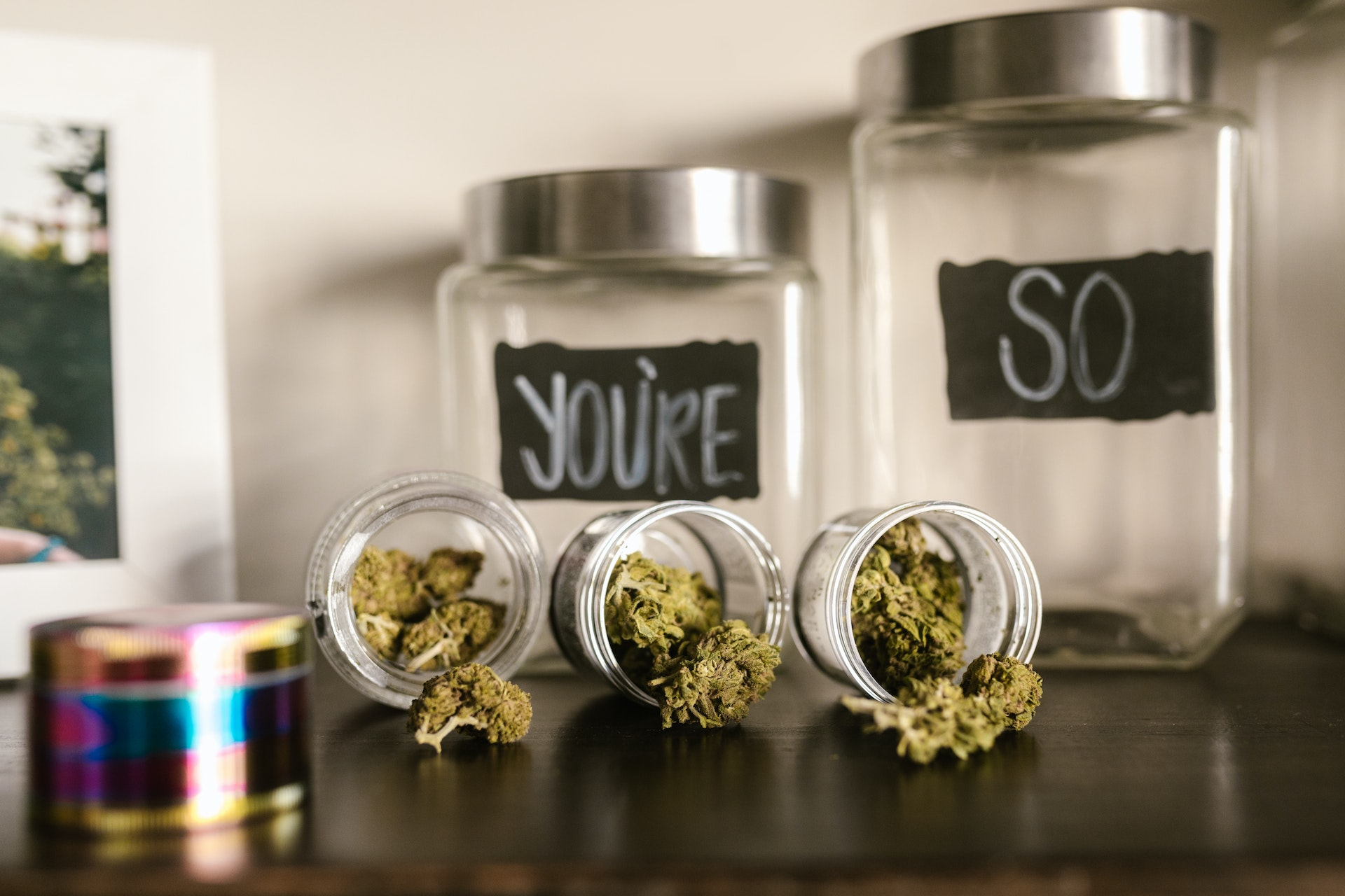Cultiver du cannabis en harmonie avec la lune : le calendrier 2023
