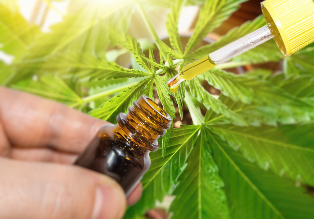 Les secrets du CBD révélés dans le journal de Léonard de Vinci