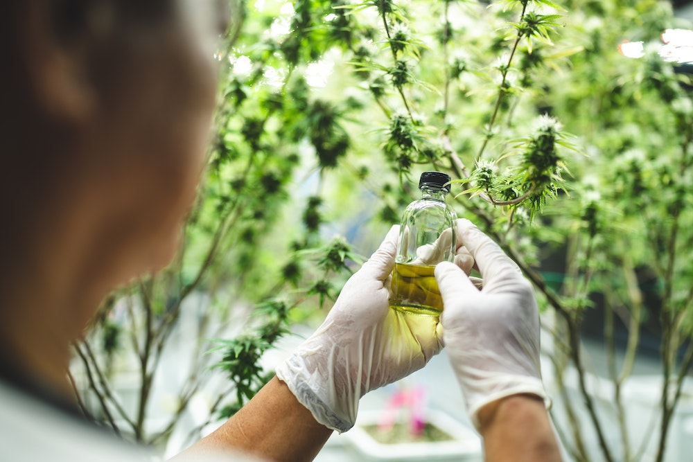 Les OVNI : des vaisseaux propulsés par le CBD ?