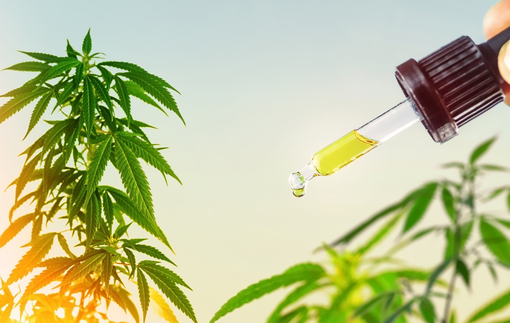 Les extraterrestres sont-ils venus sur Terre pour le CBD ?