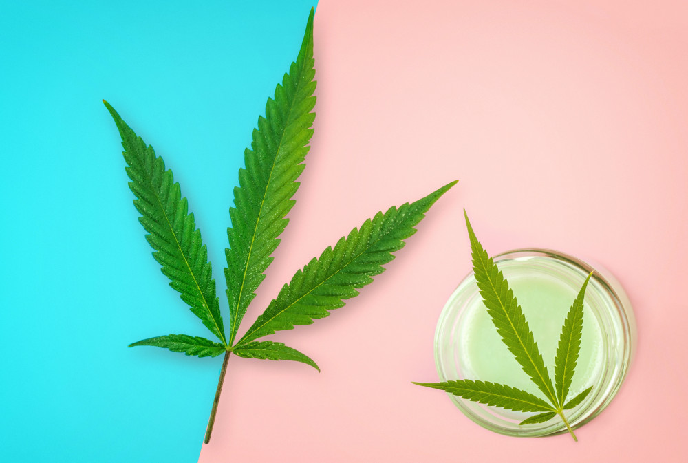 Napoléon et le CBD : la conquête pacifique de l'Europe ?