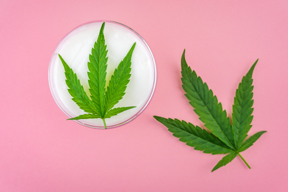 Les secrets du CBD cachés dans le manuscrit de Voynich