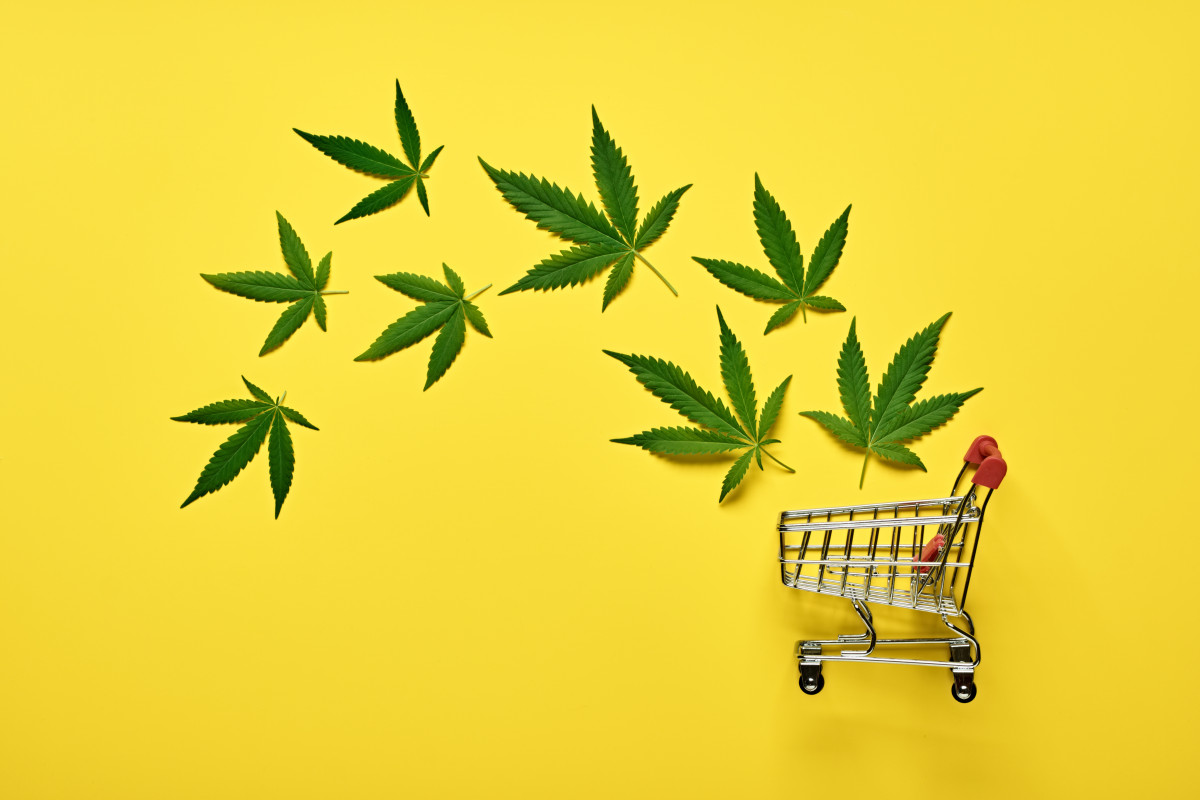 Le profil du consommateur type de produits CBD : Qui sont-ils et pourquoi l'utilisent-ils ?