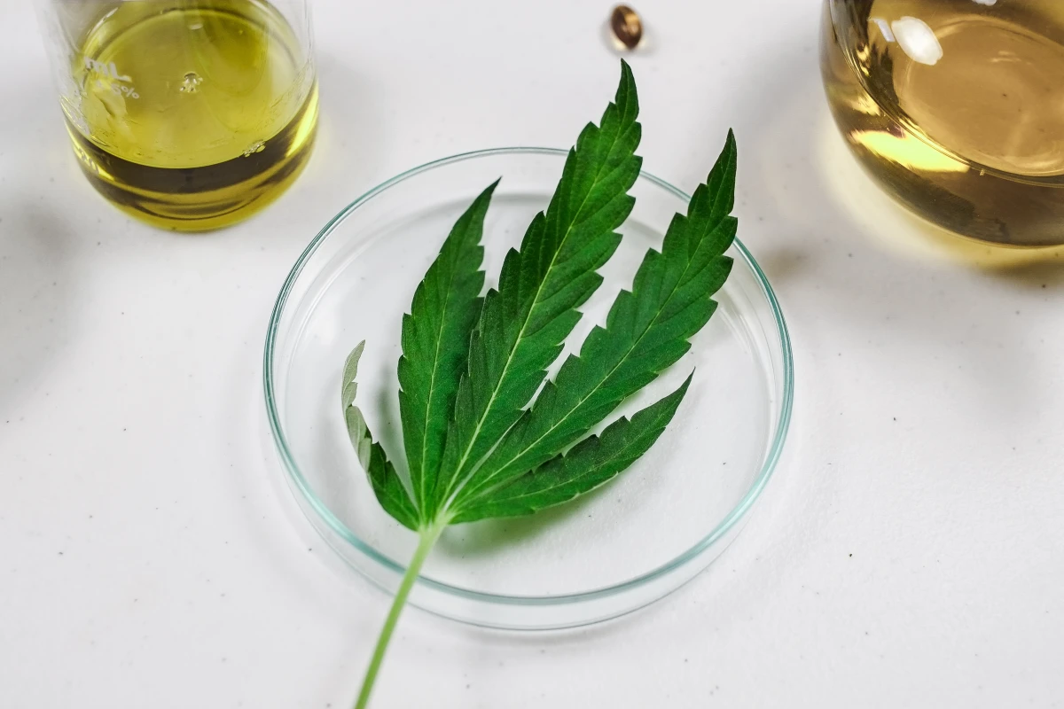 CBD et traitement des troubles respiratoires: une nouvelle approche prometteuse