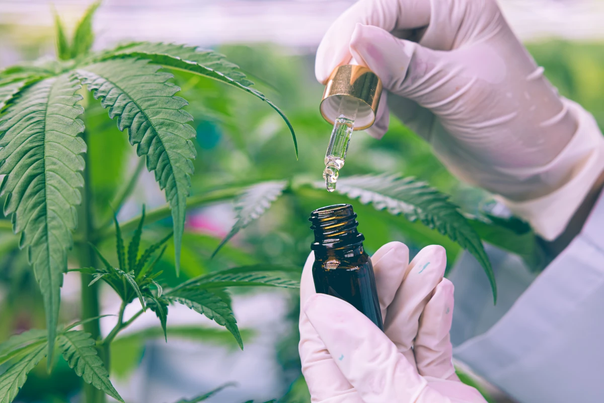 L'impact du CBD sur la gestion de la douleur neuropathique