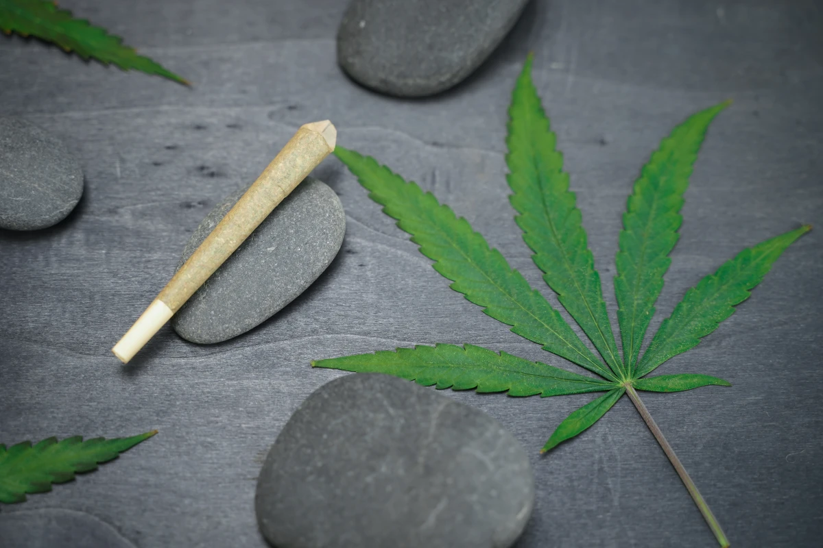 Le CBD dans le traitement des troubles vestibulaires