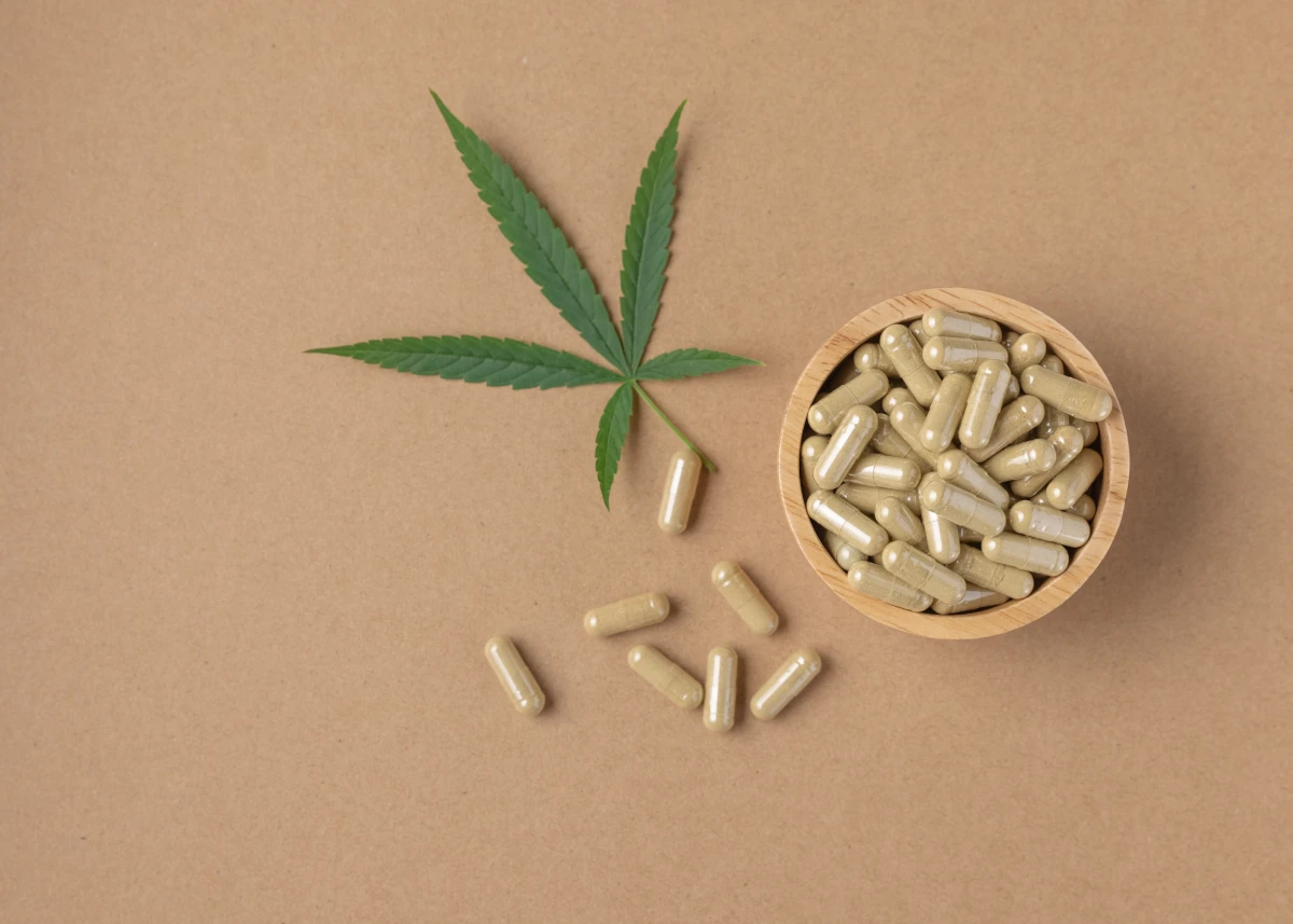 Le rôle du CBD dans la prévention des maladies musculo-squelettiques