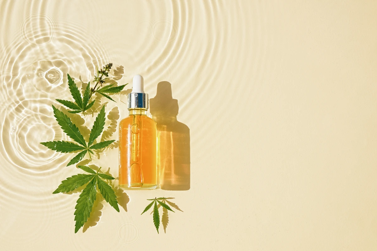 CBD : La nouvelle panacée ou simple effet de mode ?