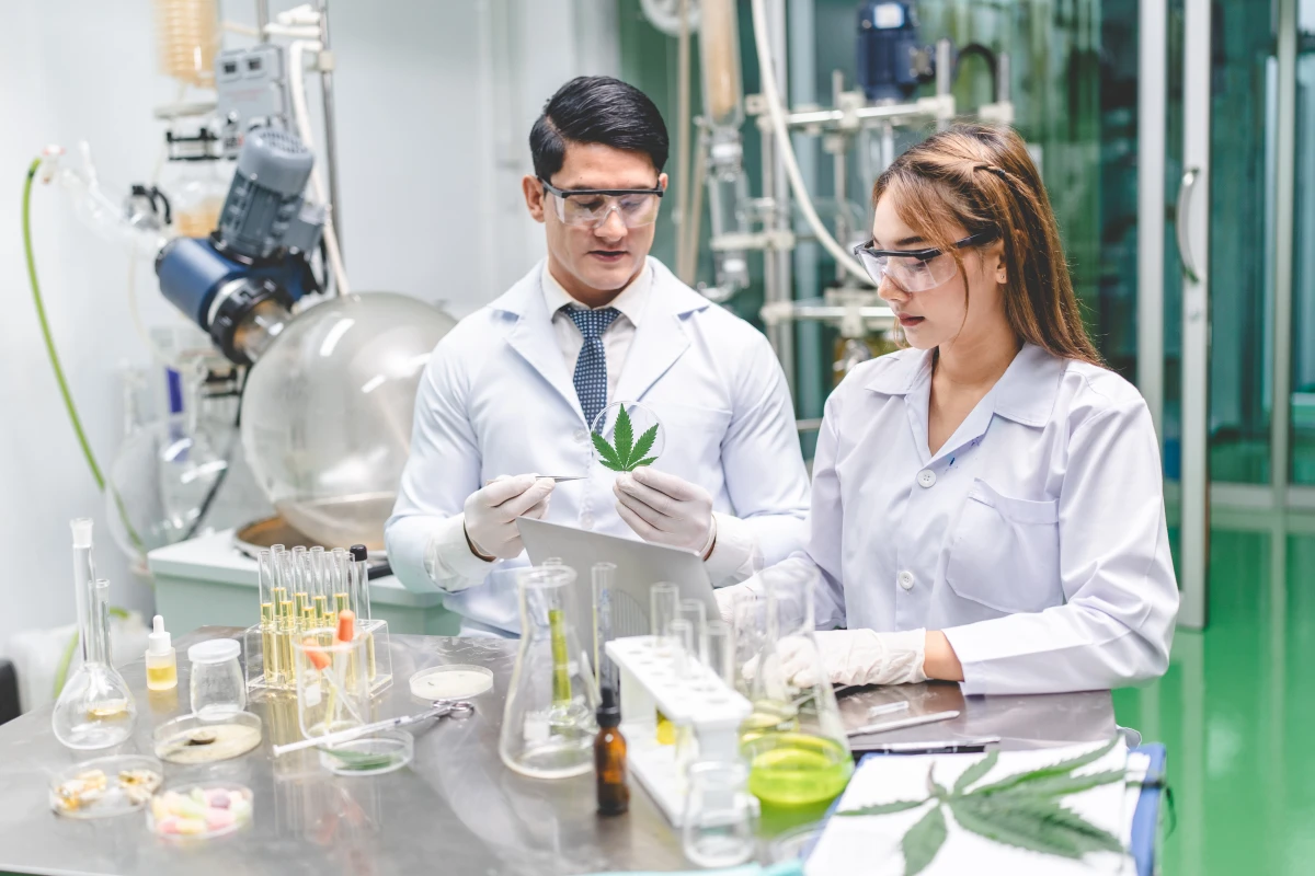 Le CBD : La révolution naturelle contre la douleur