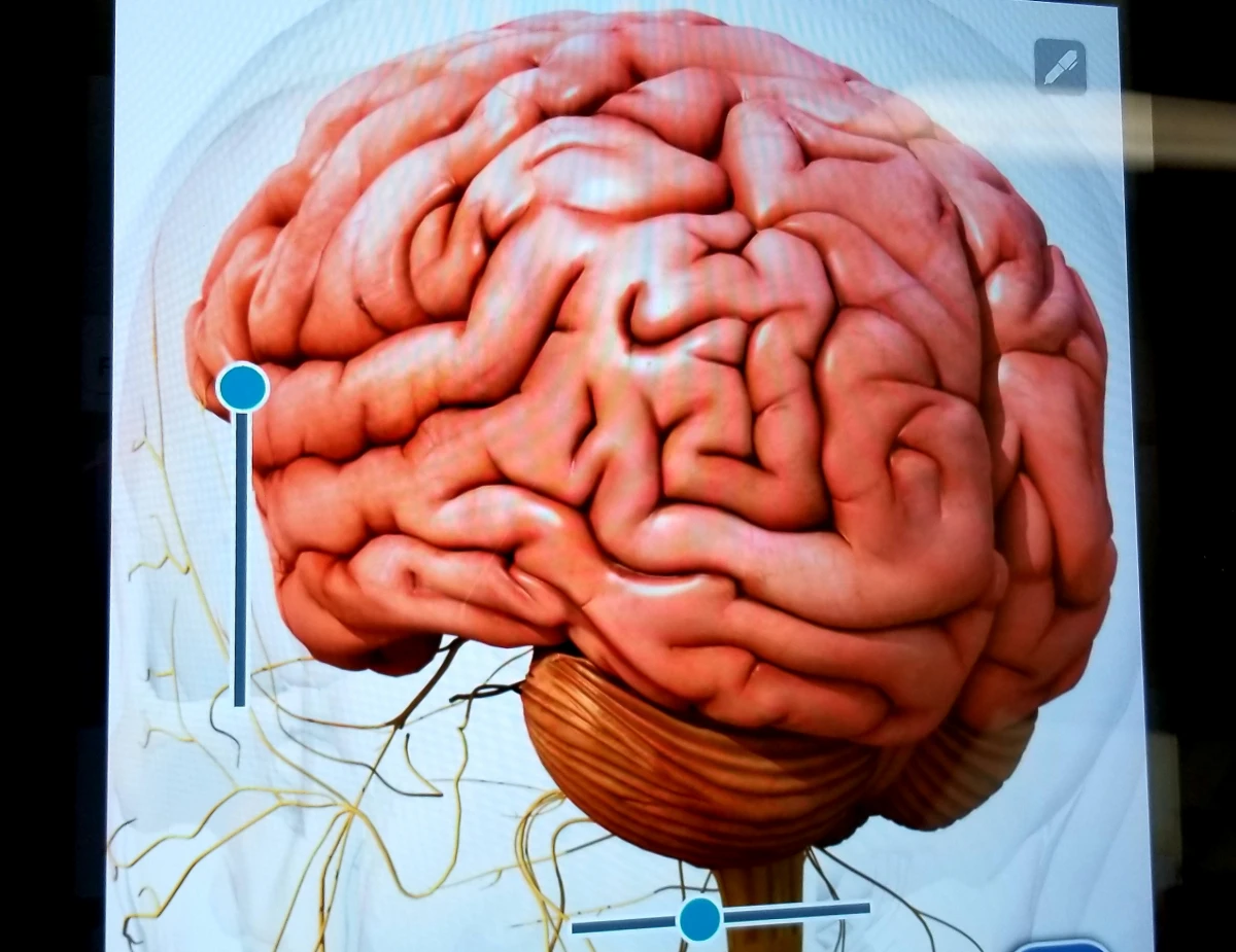 CBD et épilepsie : une lueur d'espoir pour les patients ?
