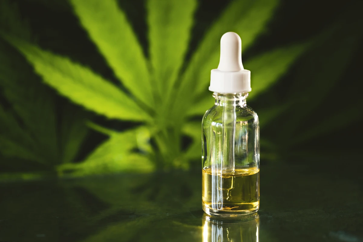 Le CBD : Nouvel Allié Minceur ? Découvrez Son Potentiel Surprenant