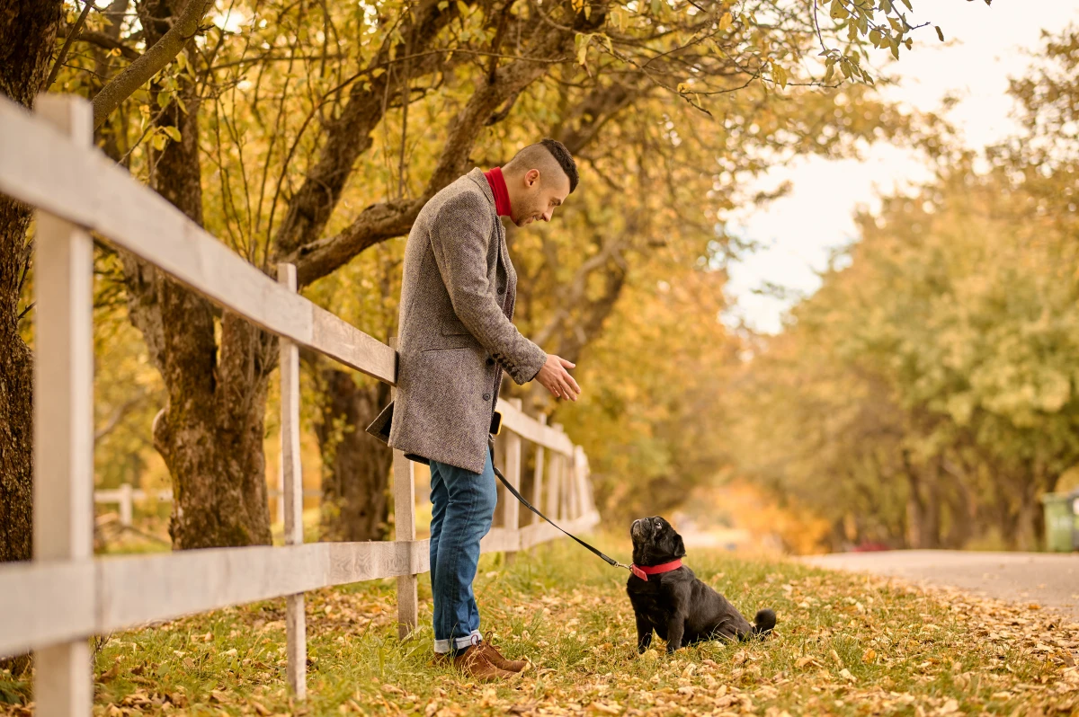 Le CBD pour animaux : Une solution naturelle pour le bien-être de vos compagnons à quatre pattes