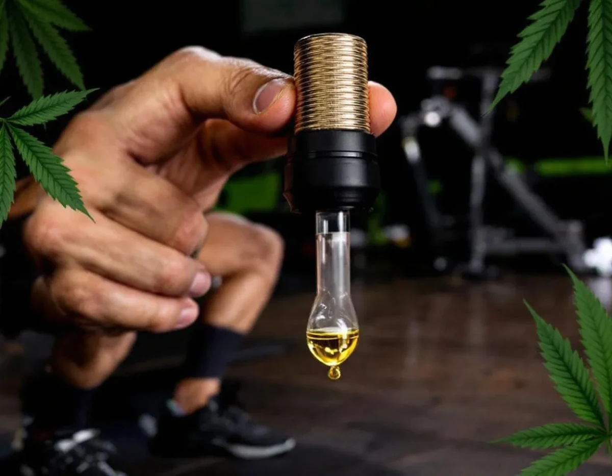 CBD et sport : effets sur la récupération musculaire